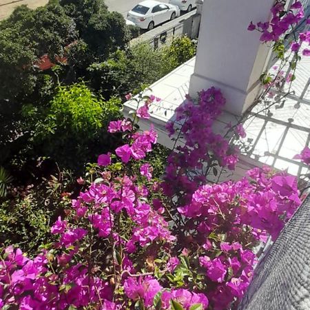 Blanca Rosa Valparaiso B&B Экстерьер фото
